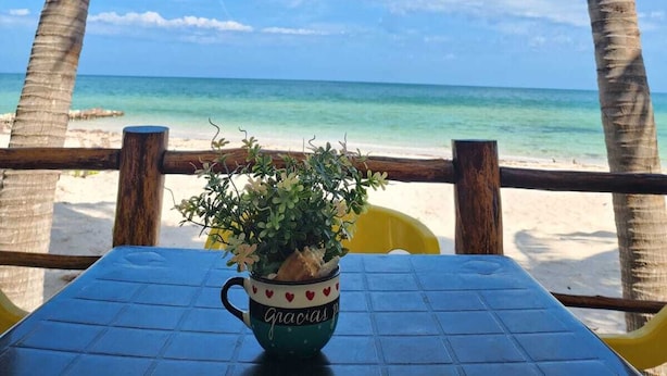 Una mesa con una taza verde, palmeras y vista al mar.