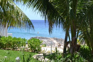 Property grounds - Beautiful Oceanside Townhome lush private complex (West Bay)