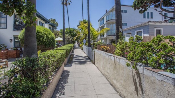 A residential street lined with palm trees and well-maintained hedges. - The Beach, Bay and Belmont Park right at your feet-Mission Beach (San Diego)