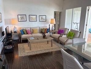 Fernseher, Bücher, Musikbibliothek, Stereoanlage