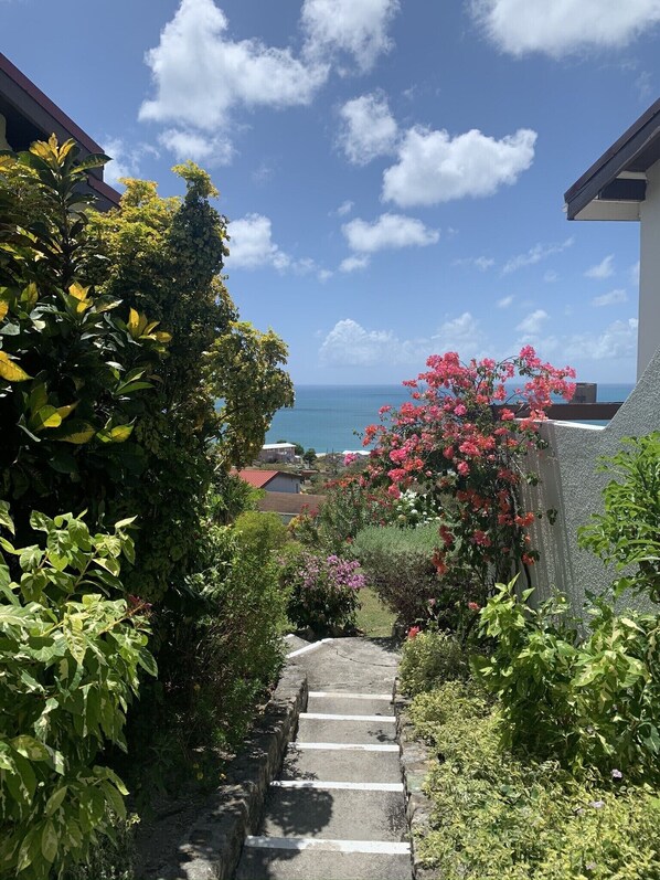 A staircase leading to a residential area with lush greenery and a view of the sea.