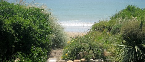 Plage, chaises longues