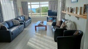 TV connectée, cheminée, lecteur de DVD, livres