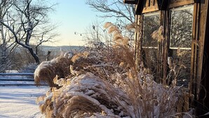Eine Holzhütte vor einer verschneiten Landschaft mit kahlen Bäumen.