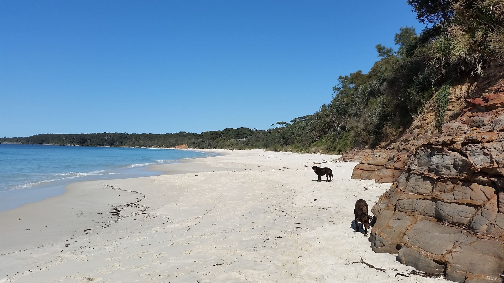 10 Best Beach House Rentals Near Jervis Bay, Australia Updated 2024