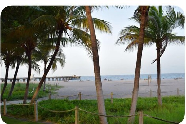 BEACH AND PIER VIEW 2