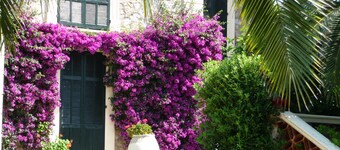 Proximity to Beach, city centre and the famous Croisette strip!