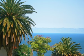 A coastal landscape with palm trees and a view of the sea. - Paradise tranquility. Sea and Teide views (La Victoria de Acentejo)