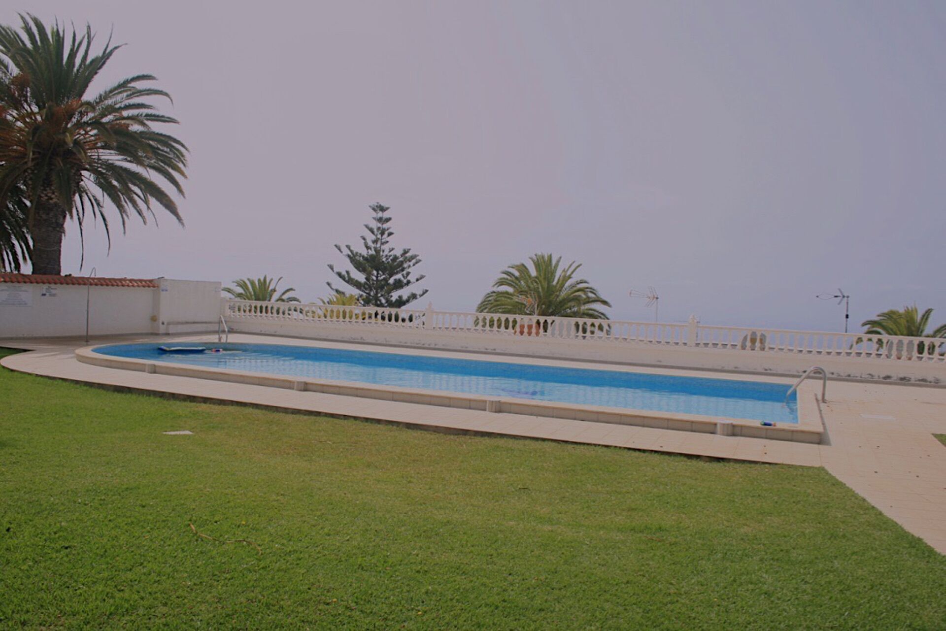 Une piscine rectangulaire, entourée d’une clôture blanche, avec un palmier au premier plan.