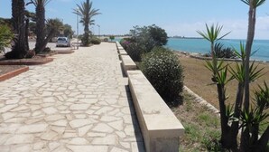 Uma passarela pavimentada com palmeiras e vista para o mar.