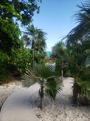 Property grounds - Beautiful Beach Front Home Located Within 100 Feet Of The Beach  (Lochabar)