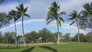 Um campo de golfe com palmeiras e um arco-íris no céu.