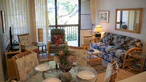 Televisio, DVD-soitin, stereot