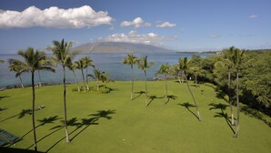En golfbane med palmer og havudsigt.