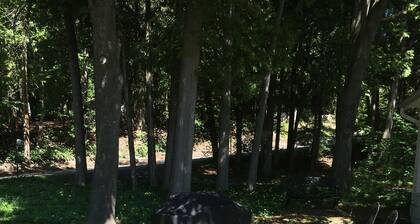 Homestead Rental. Relax in Ephraim. Convenient Home in center of village.