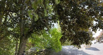 Come relax in Ephraim at the Homestead Rental. Centrally located to everything.