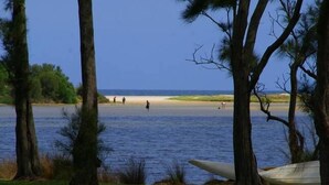 Een strand met bomen, een zandstrand en een rustige zee.