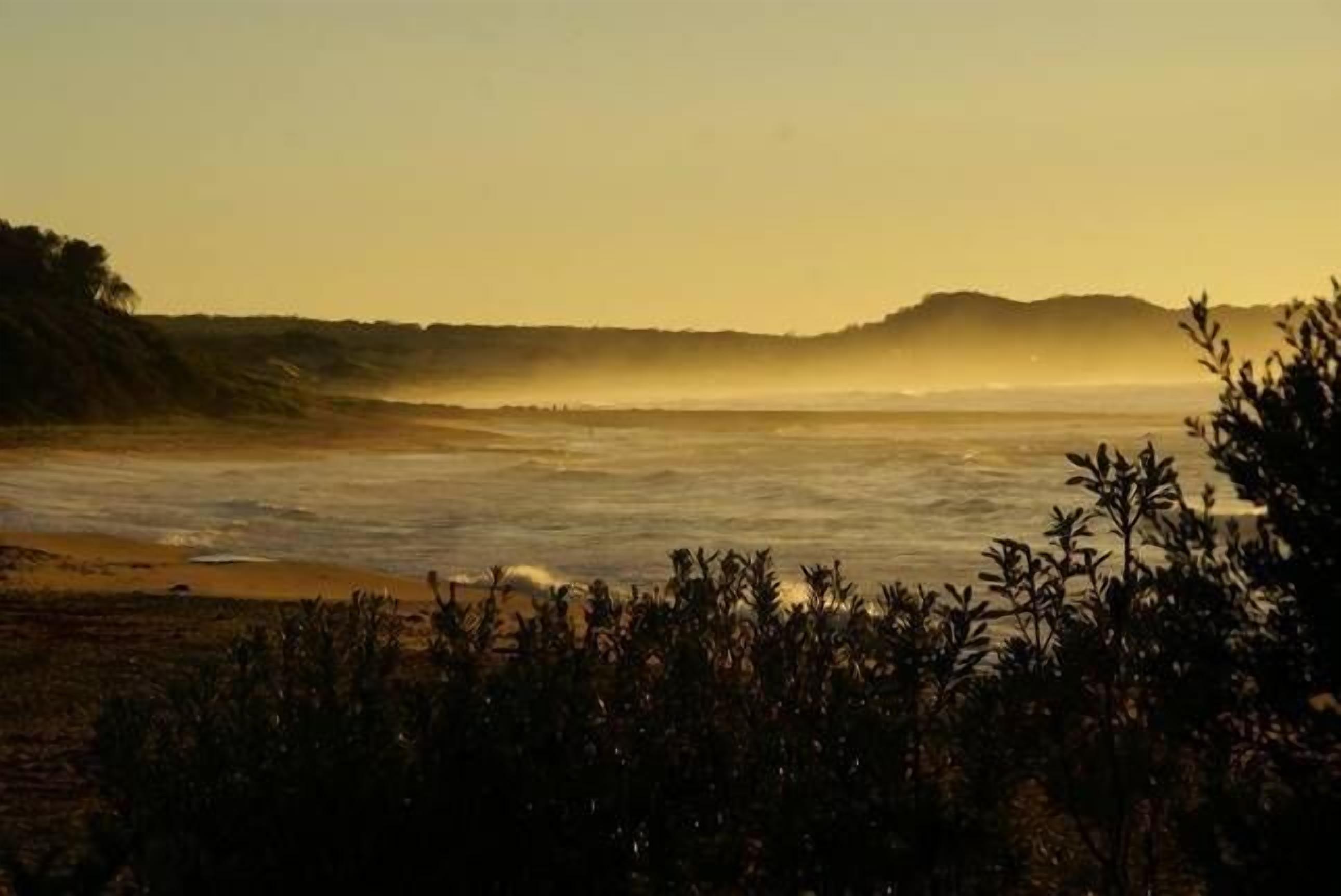 Strand