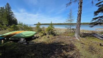 A lakeside setting with kayaks and a tree.