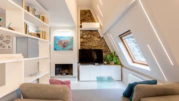 Smart TV, fireplace, books