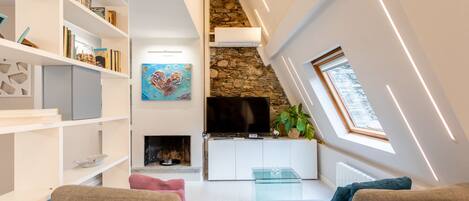 Smart TV, fireplace, books