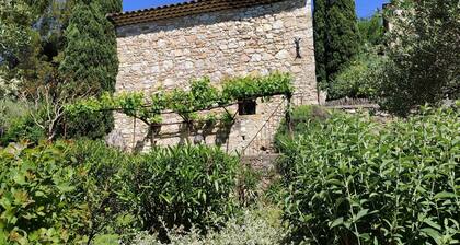 Charming and Character Cottage in Drôme Provençale