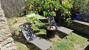 Terras