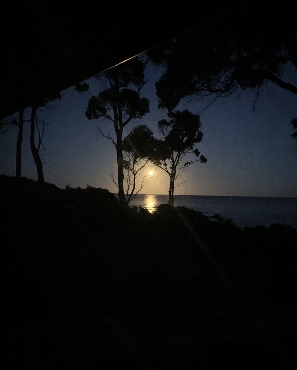 Pavilion on Pirates. — image 9