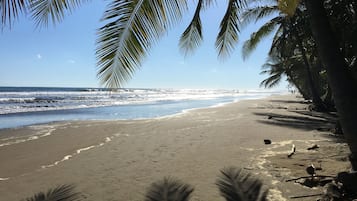 Playa en los alrededores y toallas de playa