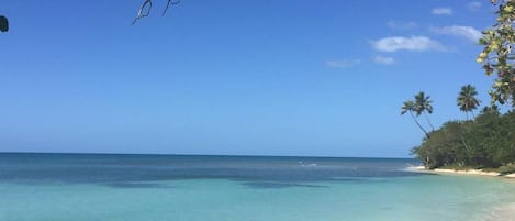 Perto da praia, espreguiçadeiras, toalhas de praia