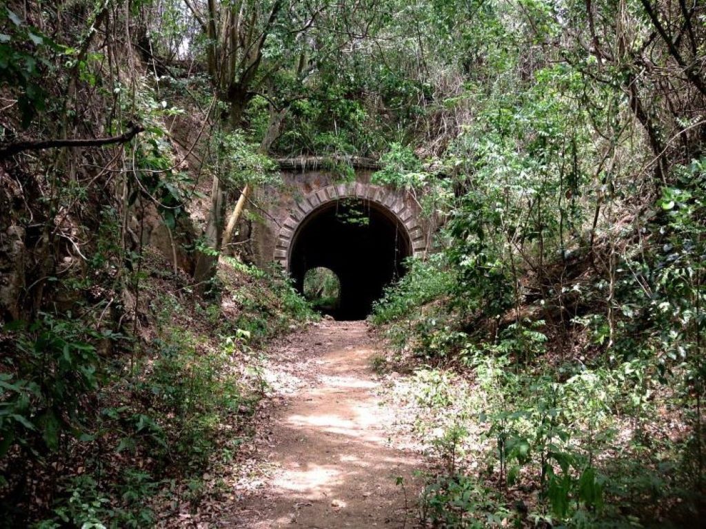 A narrow dirt path leading to a stone tunnel surrounded by dense foliage.