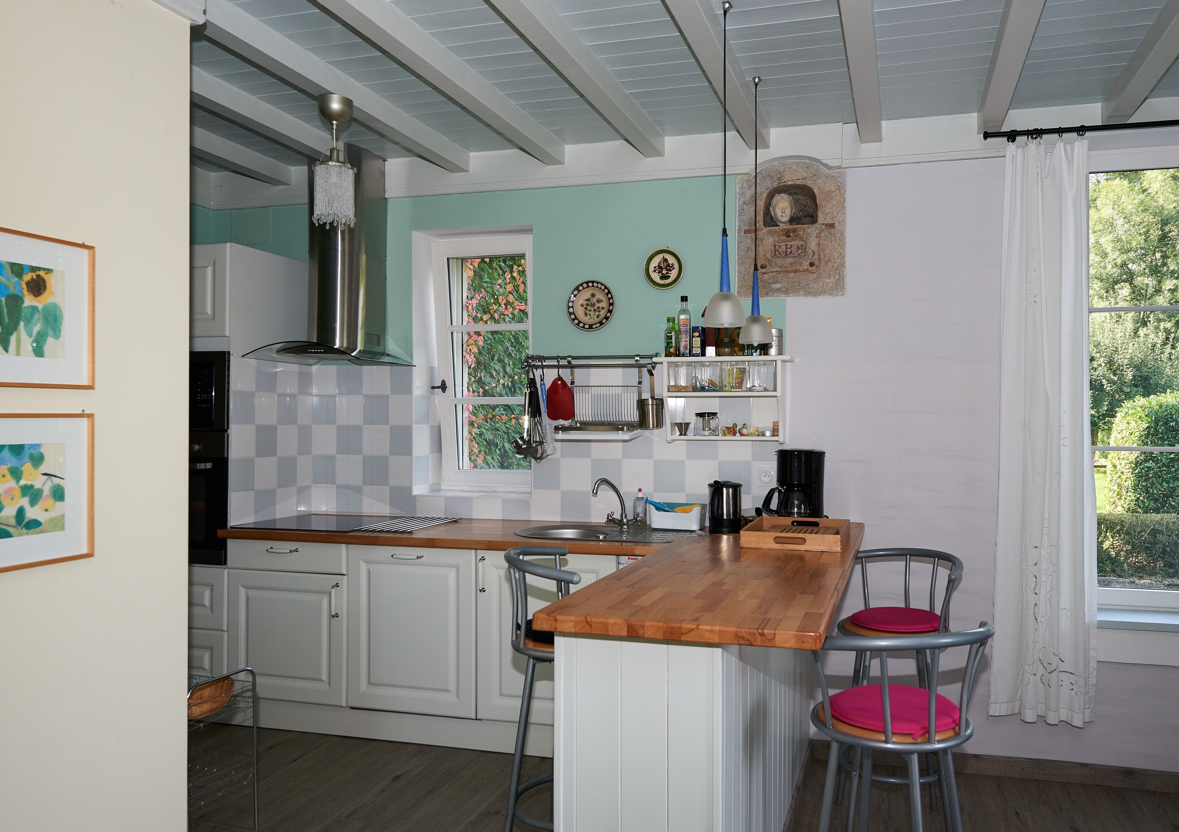 Moulin de Merzé : le Martin-Pêcheur