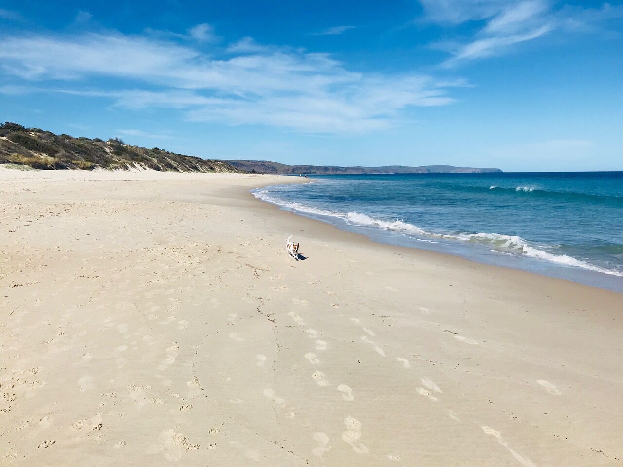 Rannalla, aurinkotuoleja