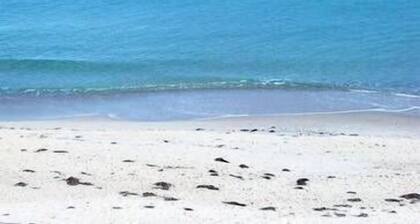 SouthBeach - Absolute Beachfront - 11 Gold Coast Drive