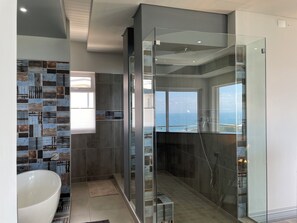 Combined shower/tub, hair dryer, towels, soap