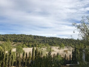 未分類的圖片，第 5 張，共 22 張，按鈕