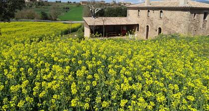 House of the segle XIX rehabilitated, però amb l'escència d'abans