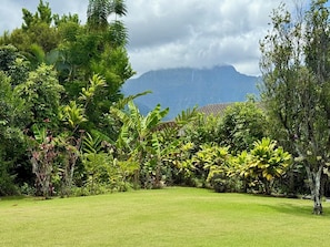 Property grounds - Ota House - a 2br/1.5ba mountain view home in Princeville (Princeville)