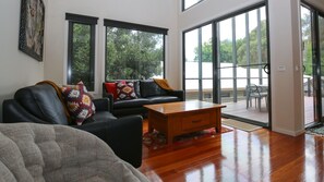 Smart TV, DVD player, books