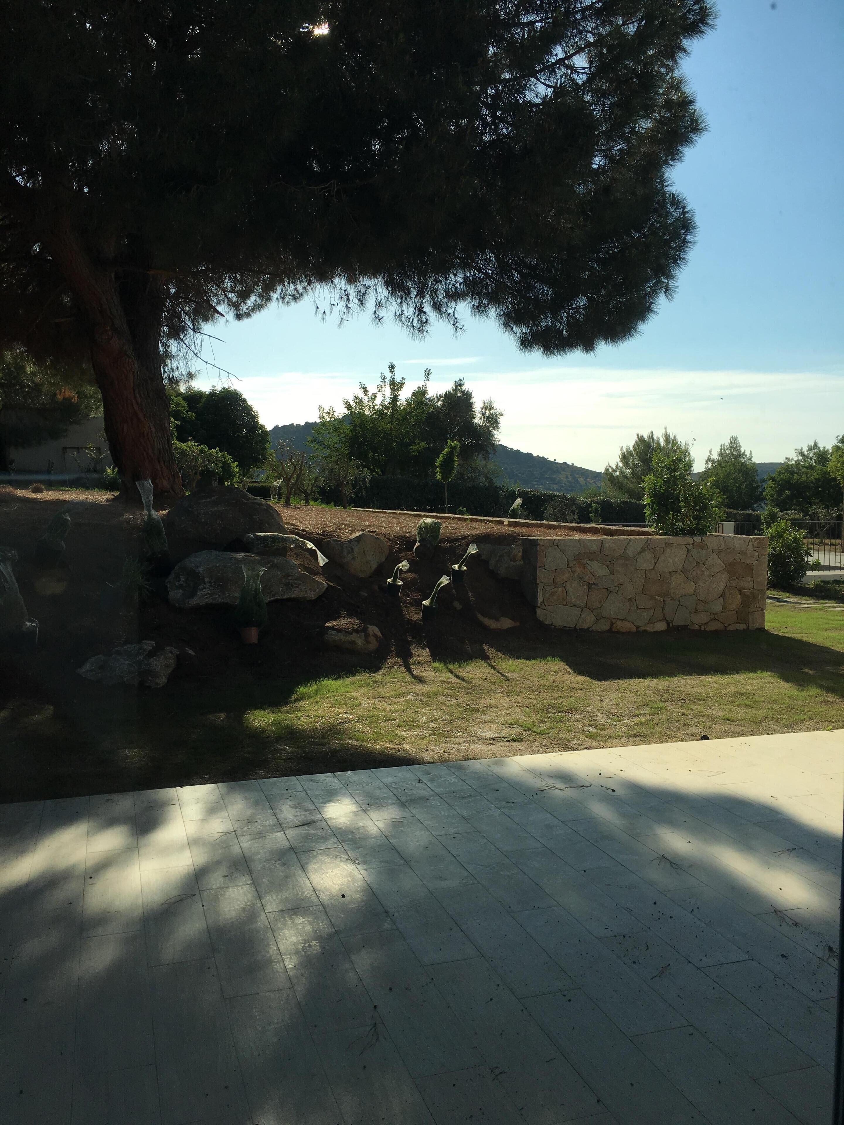 A stone wall with a grassy area and a tree.