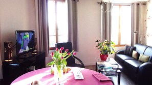 Televisie, Netflix, een dvd-speler en boeken