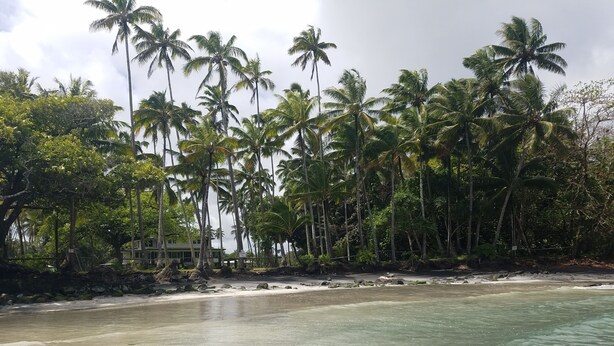 A beach with clear turquoise water, palm trees, and a building in the background. - Spacious home in a lush green piece of paradise (Pahoa)