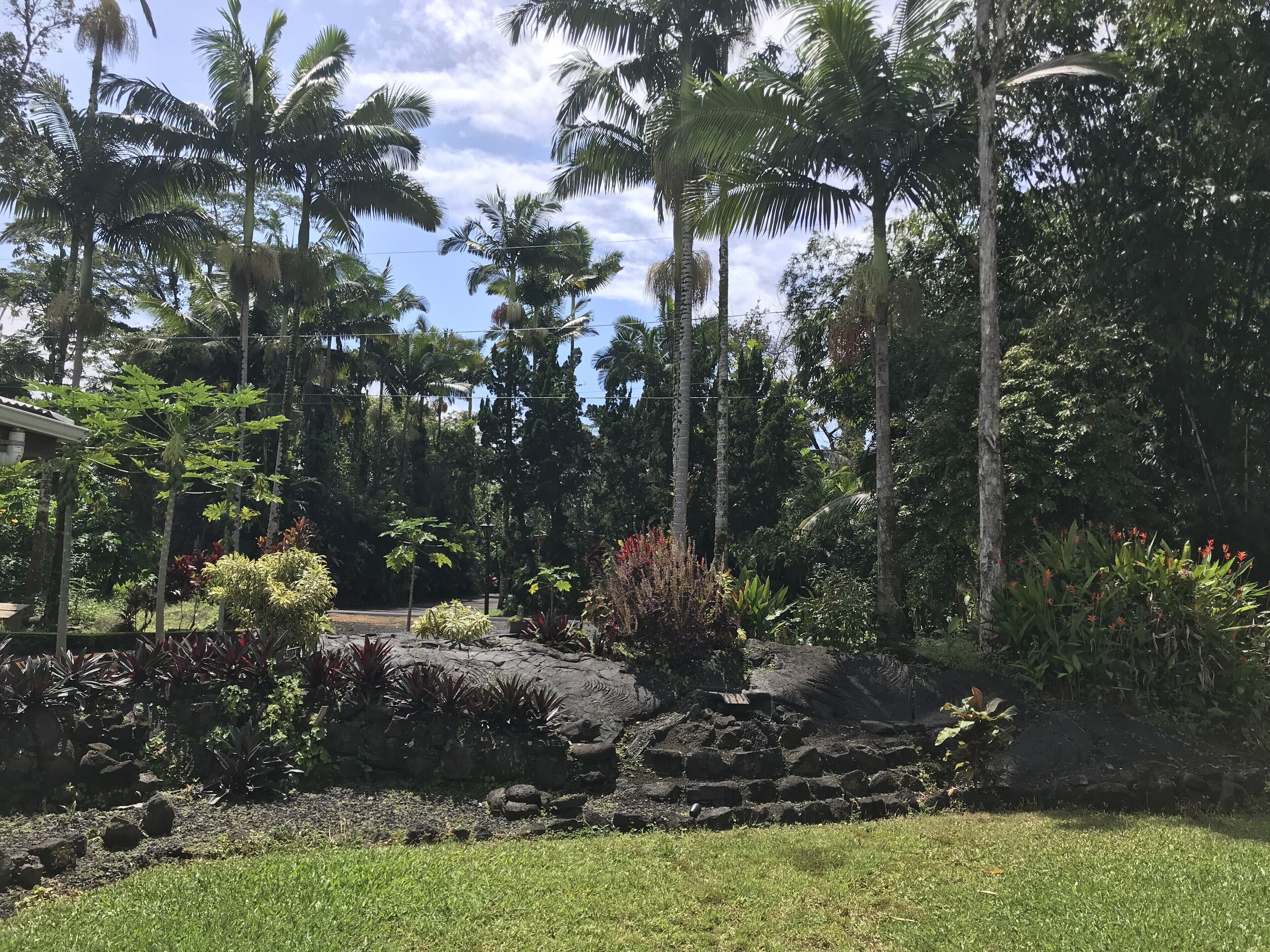Un jardin tropical avec des palmiers, une formation rocheuse et diverses plantes.