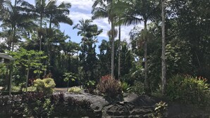 A tropical garden with palm trees, a rock formation, and various plants. - Spacious home in a lush green piece of paradise (Pahoa)