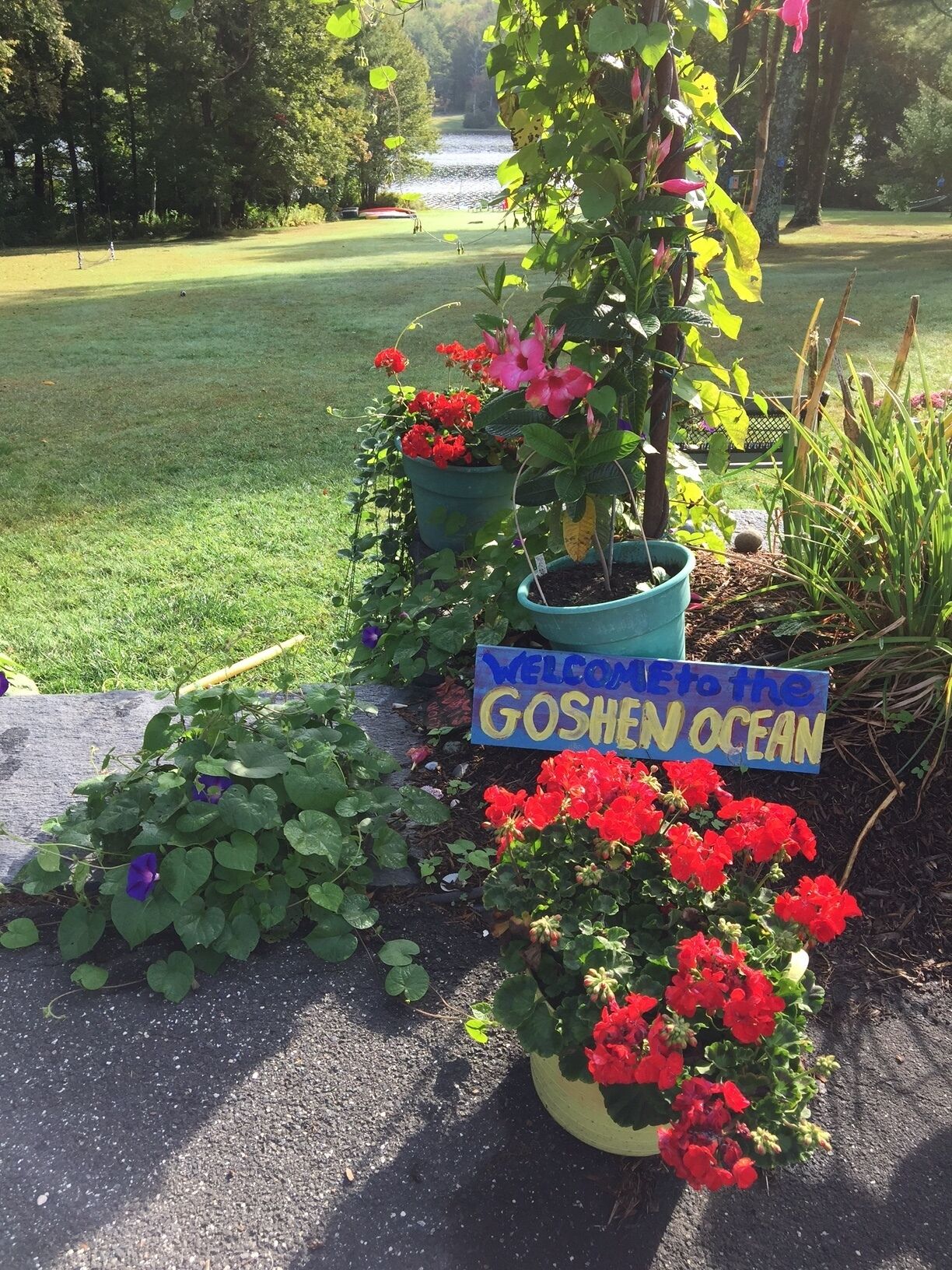 Lakefront Summer Cottages~Sparkling clean social distancing space!