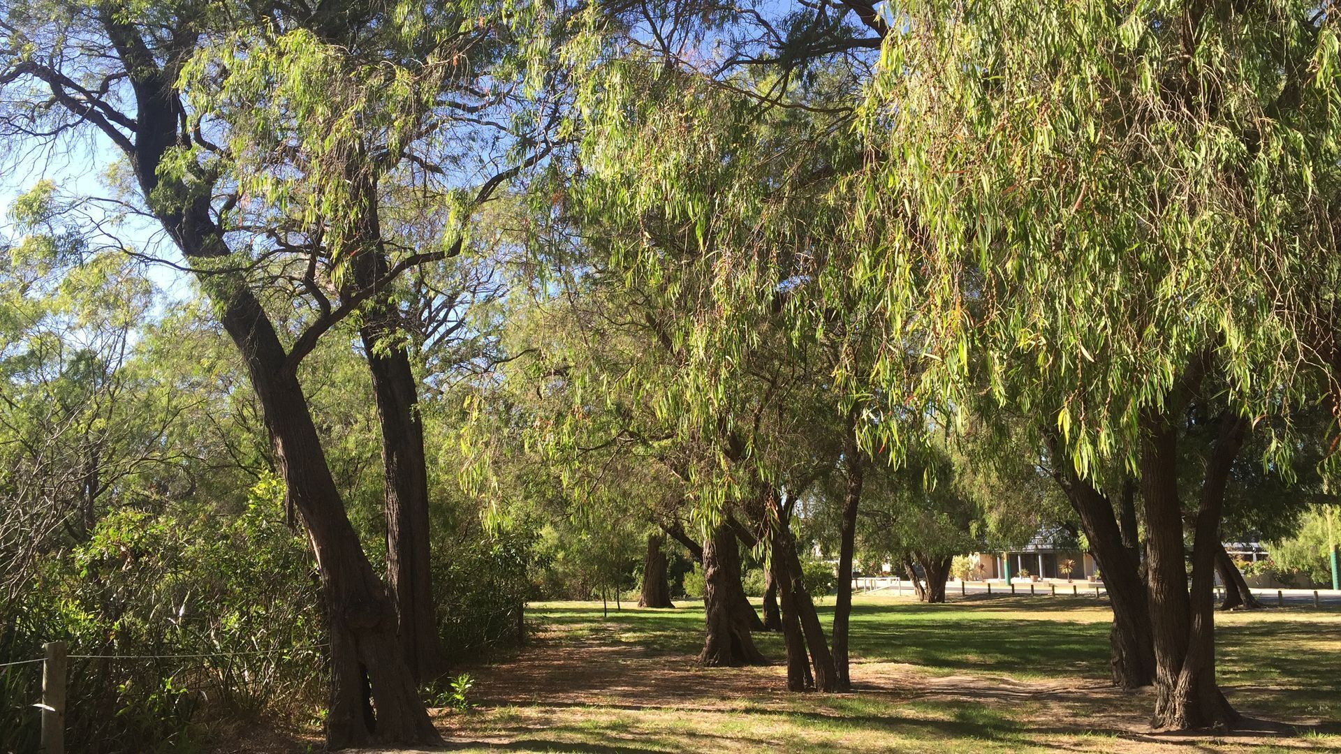 Treehouse by the Sea — image 24