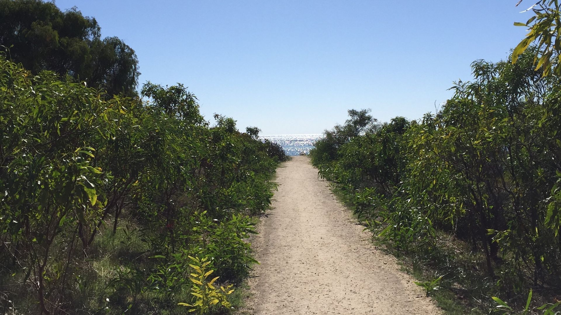 Treehouse by the Sea — image 19