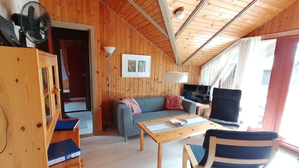 A cozy cabin-style room with a wooden interior, a sofa, a table, a TV, and a fan. - Year-round relaxation in a Danish holiday home with a fireplace in Gartow am See  (Gartow)