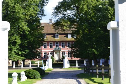 Year-round relaxation in a Danish holiday home with a fireplace in Gartow am See