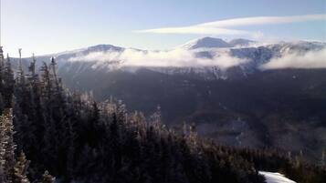 Sneeuw- en skisporten